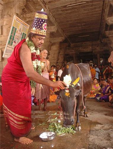 This is the pooja where the Cow represents Akilandeswari. Photo Credit: from Trichyonline.in