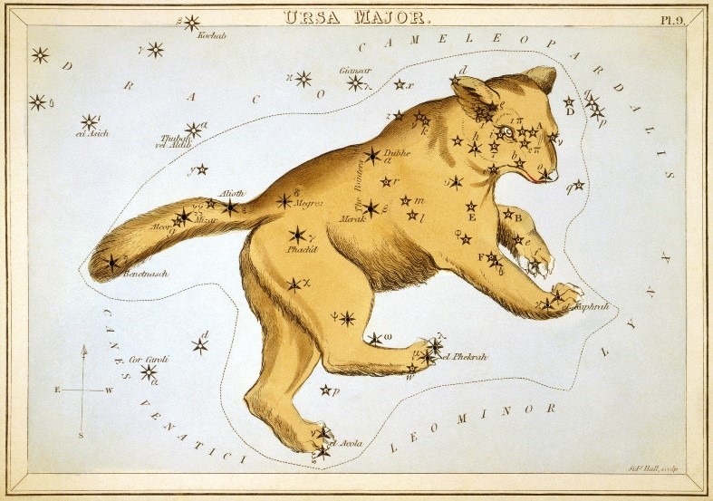 Ursa major.jpg