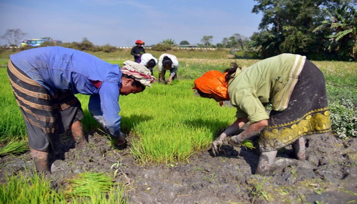 WDRA signs MoU with SBI to facilitate farmers get loans at low interest ...