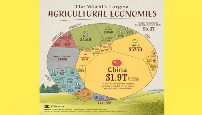 Size of the Agricultural Economies and Global Importance of Different Agricultural Commodities: An Overview