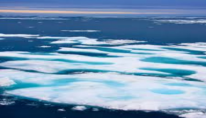 Antarctica Sea Ice Melts To A Record Low, Heres How It Impacts Global ...